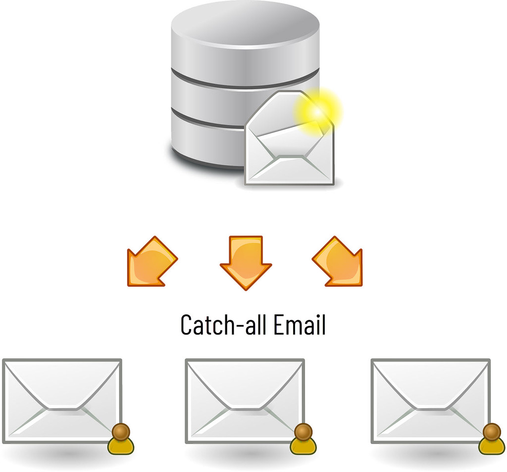 Catch-all email inbox hosting.